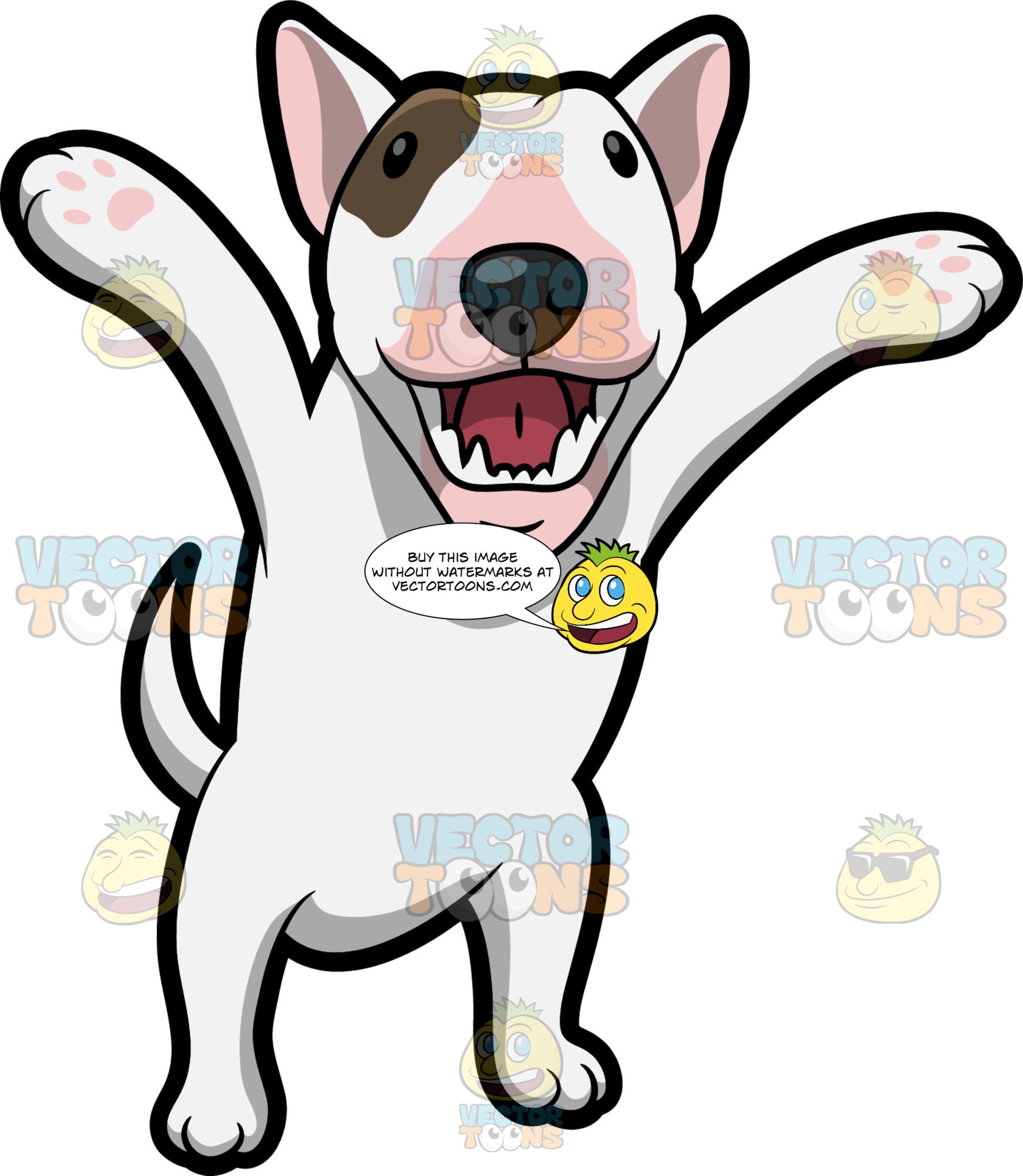 Bull Terrier Cartoon Images