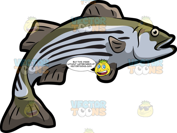 Free Free 303 Striped Bass Svg Free SVG PNG EPS DXF File