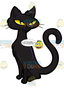 Cartoon image scared black cat Royalty Free Vector Image