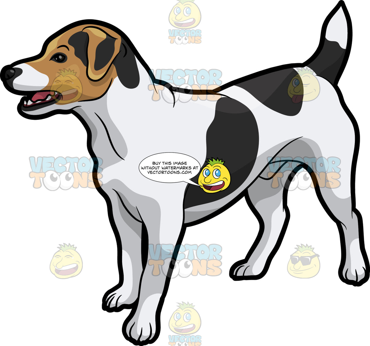 Jack Russell Terrier Cartoon