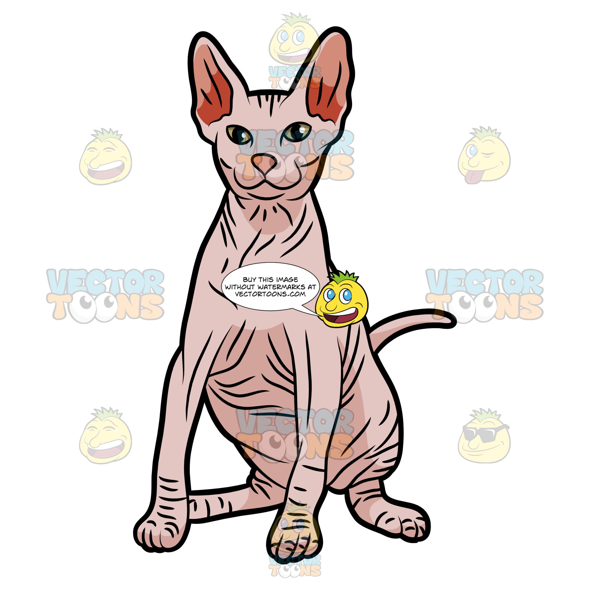 A Don Sphynx Cat – Clipart Cartoons By VectorToons