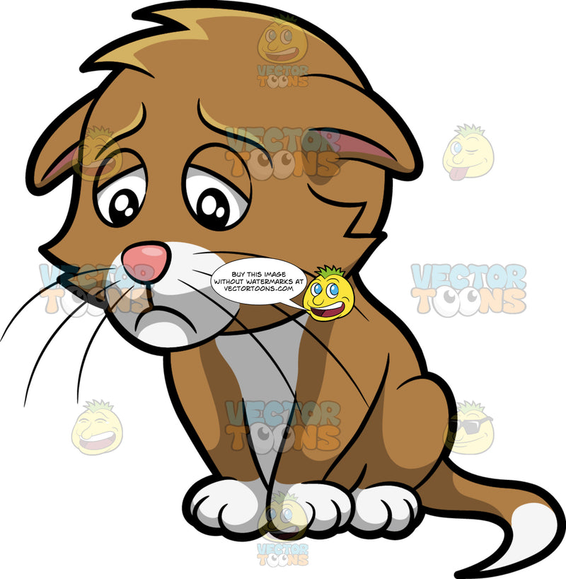 Cartoon: A Sad Adorable Cat | Clipart Images