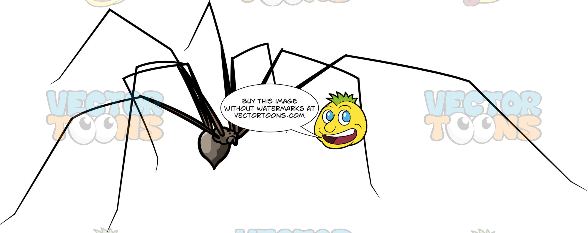 daddy long legs cartoon spider