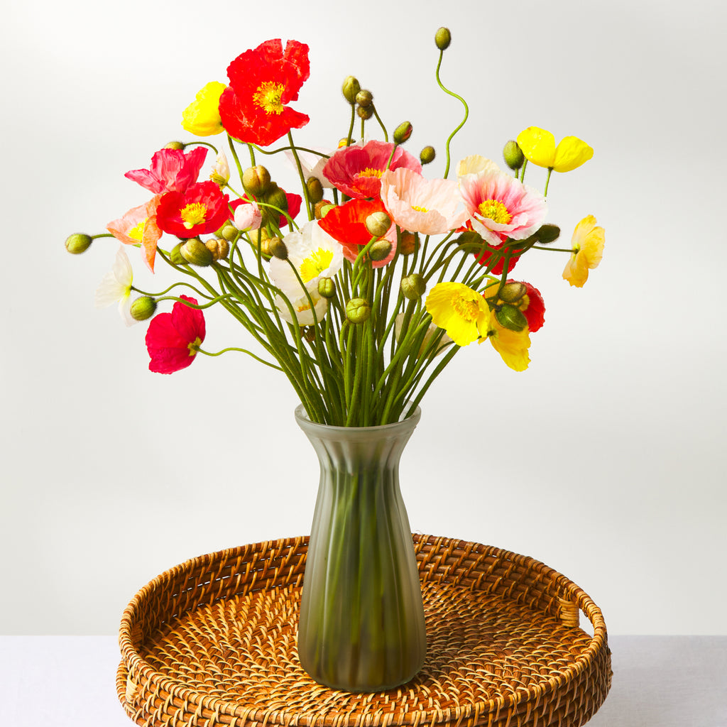 mixed poppies in a vase