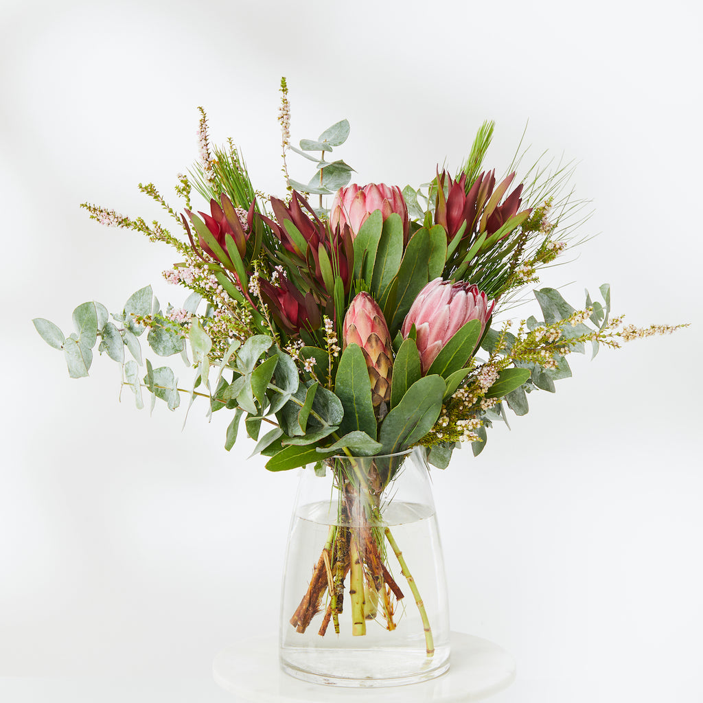 protea and australian natives in a vase