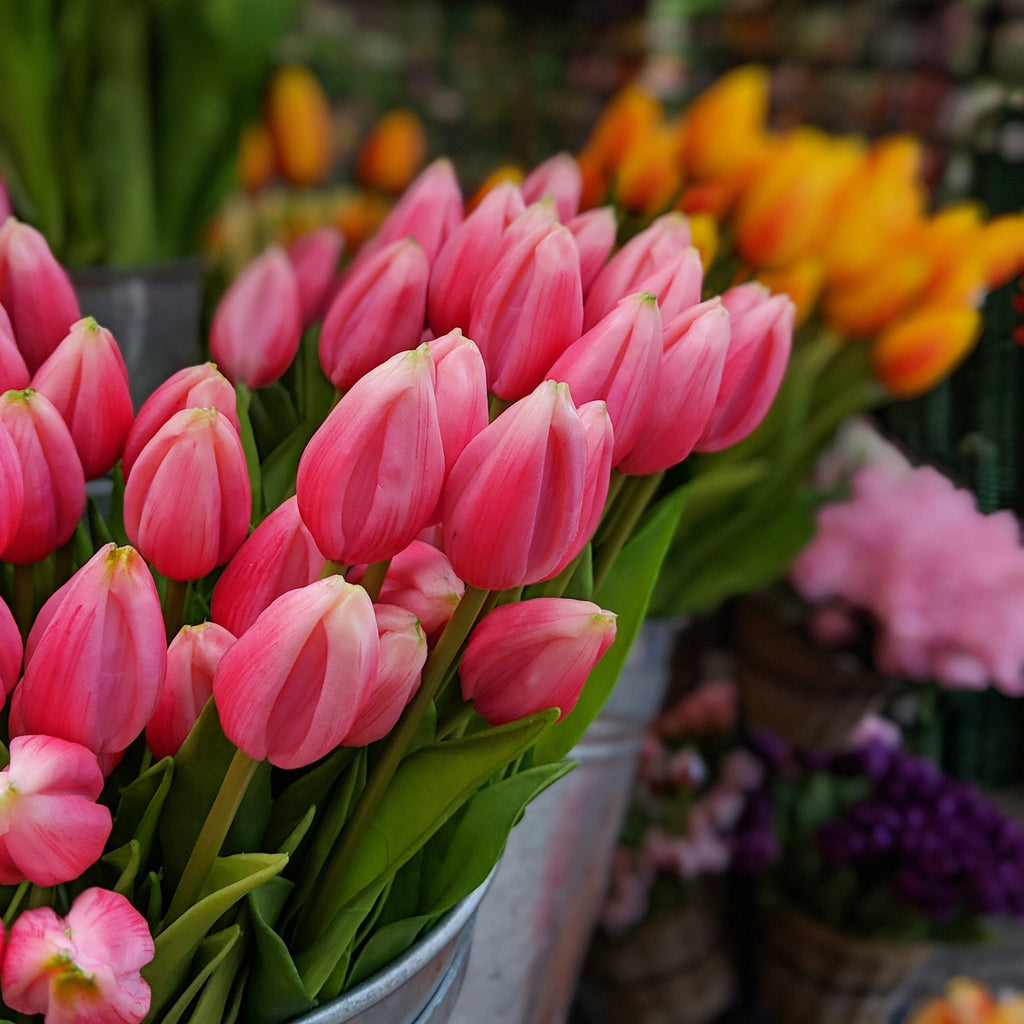 pink and yellow tulips in a silver buckets