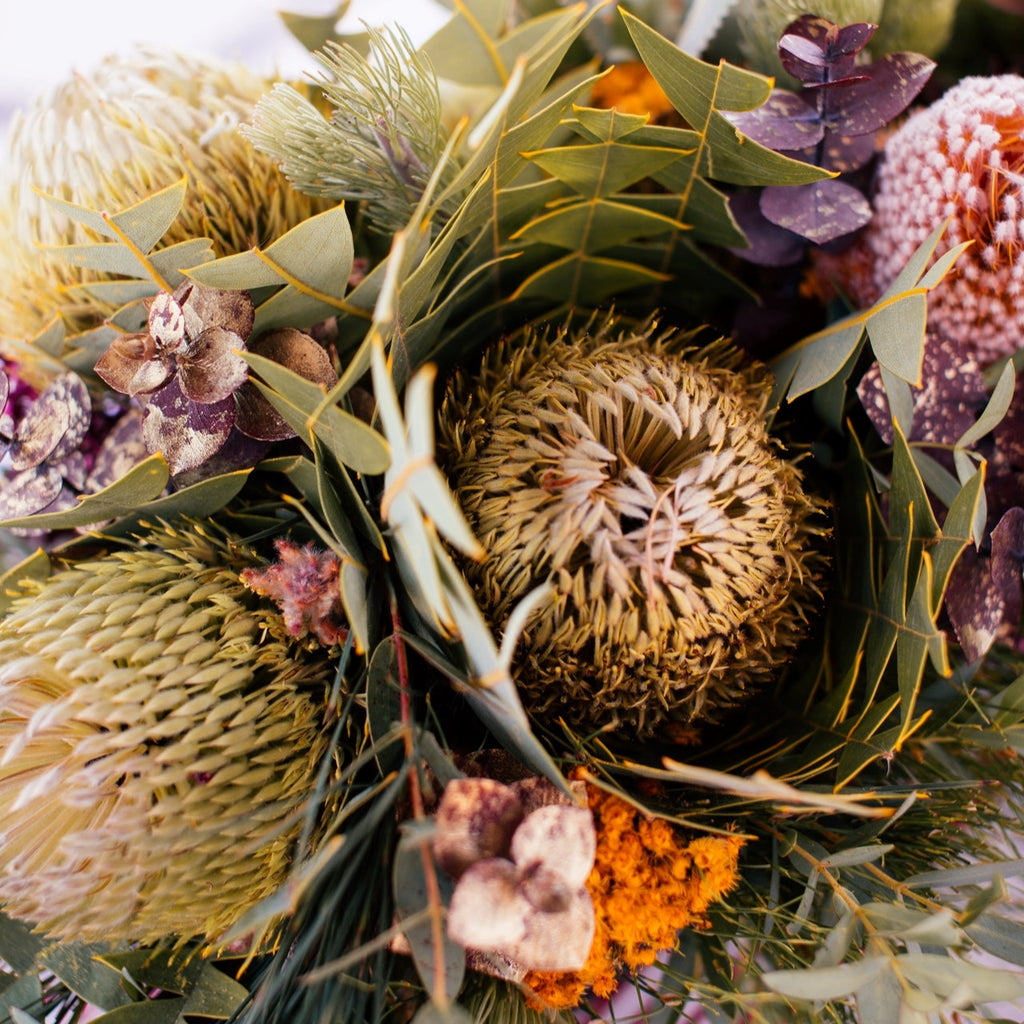 assorted australian native flowers