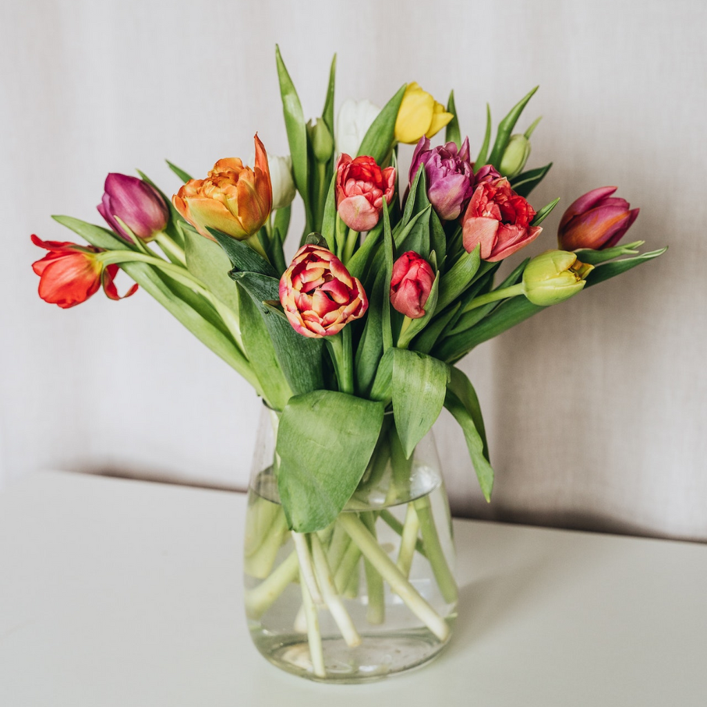 colourful double tulips assorted colours in a vase