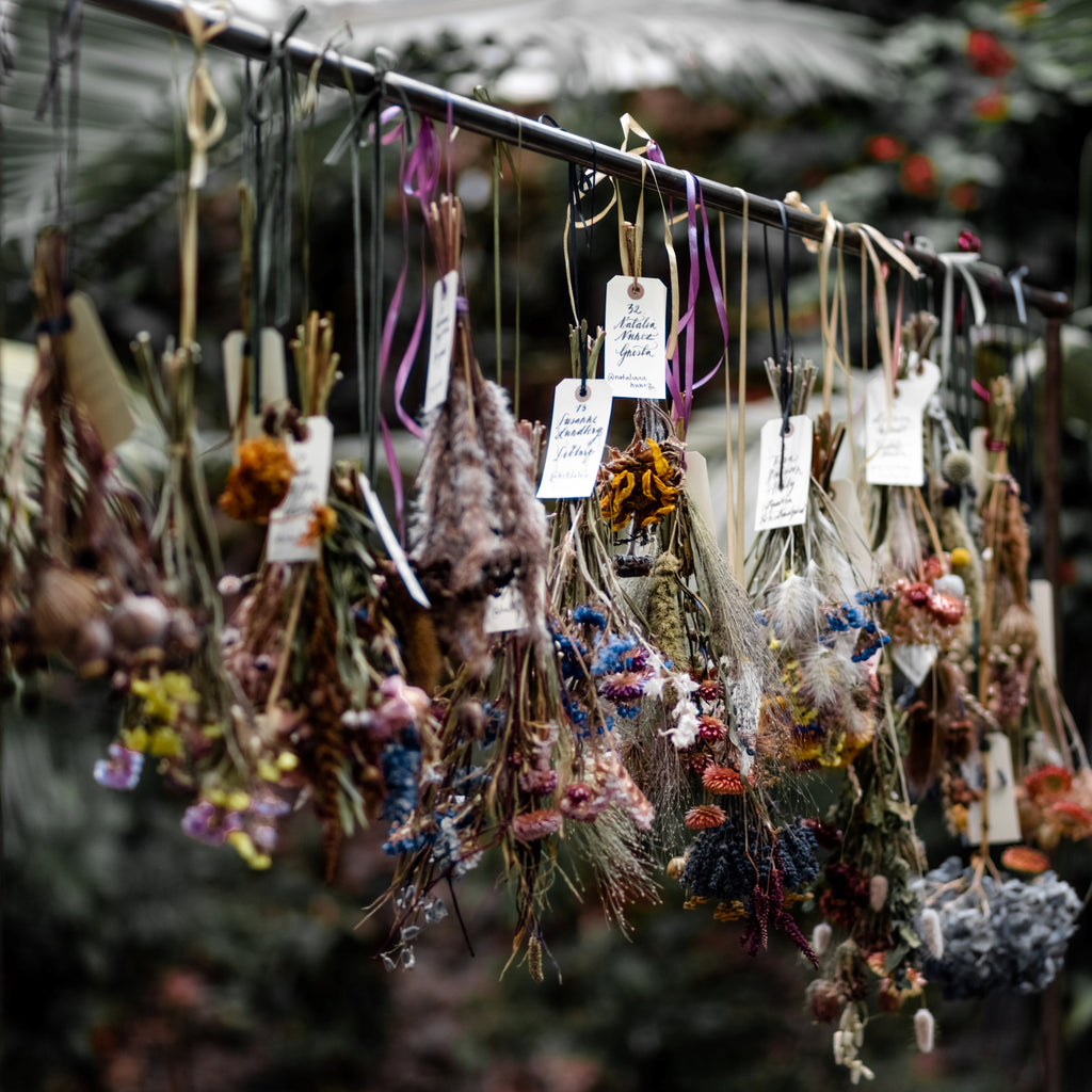 flowers hanging up to be air dried