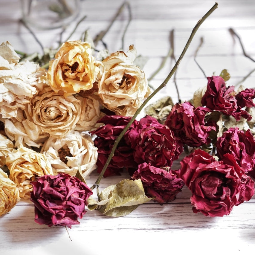 dried white and purple roses on a table