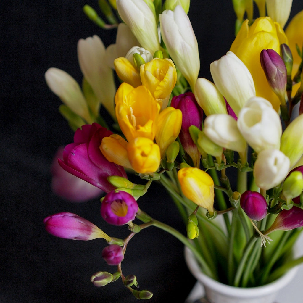 yellow, white and purple freesias in a vase