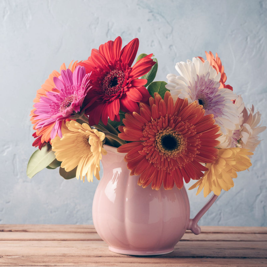 gerbera flowers for housewarming in ceramic jug