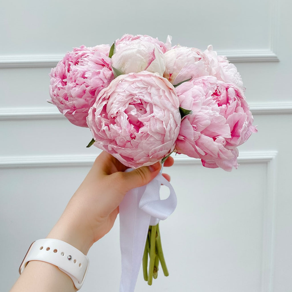 hand holding pink peonies