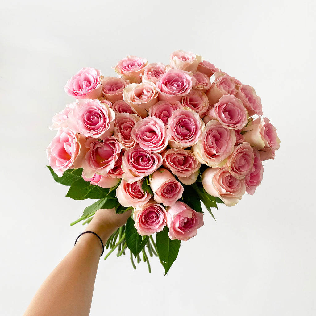 hand holding pink roses