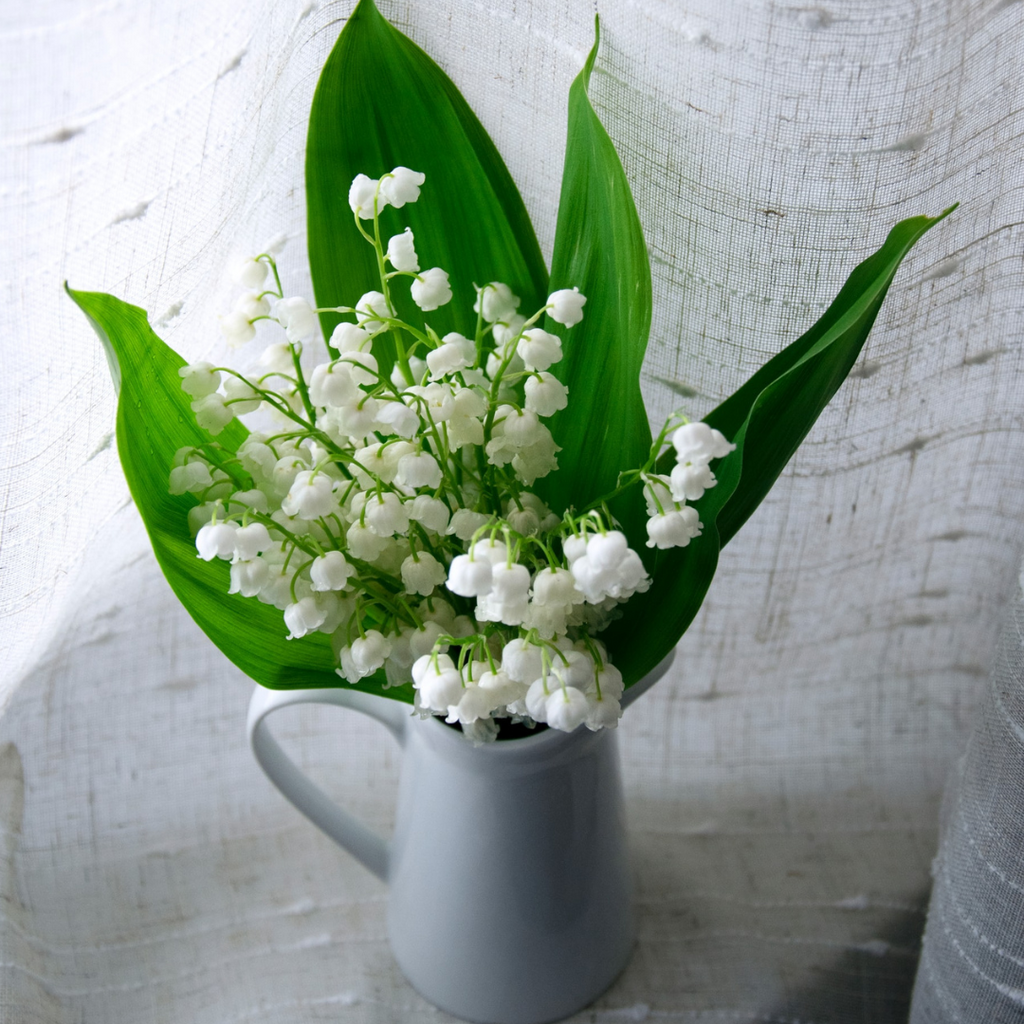 white lily of the valley flowers in a vase
