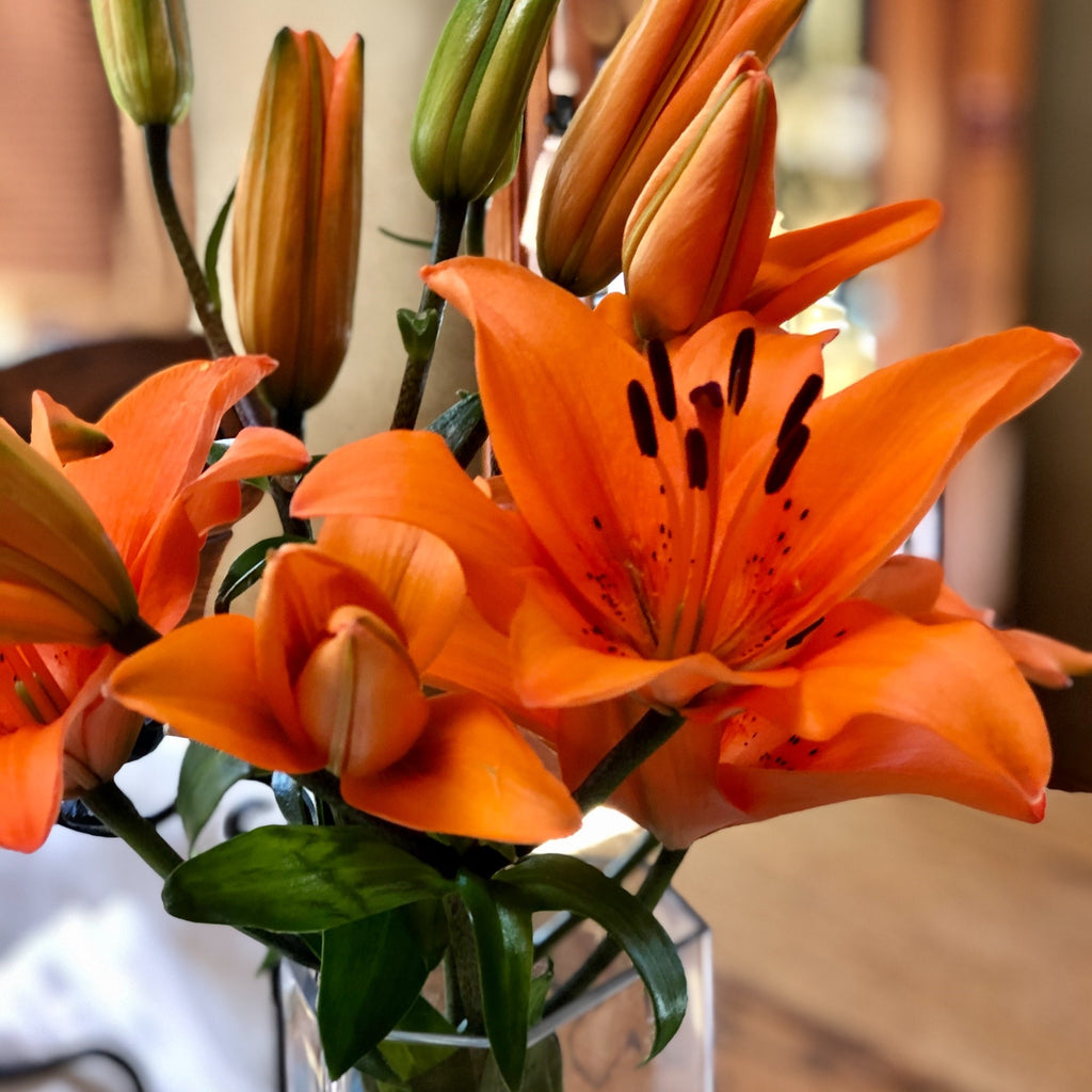 orange lilies