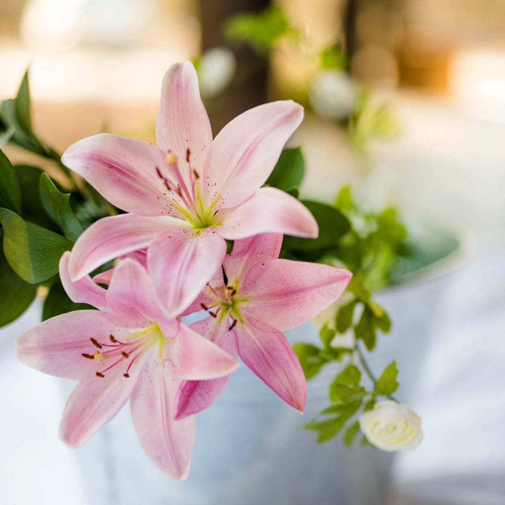 Pink lilies in a white ceramic vase