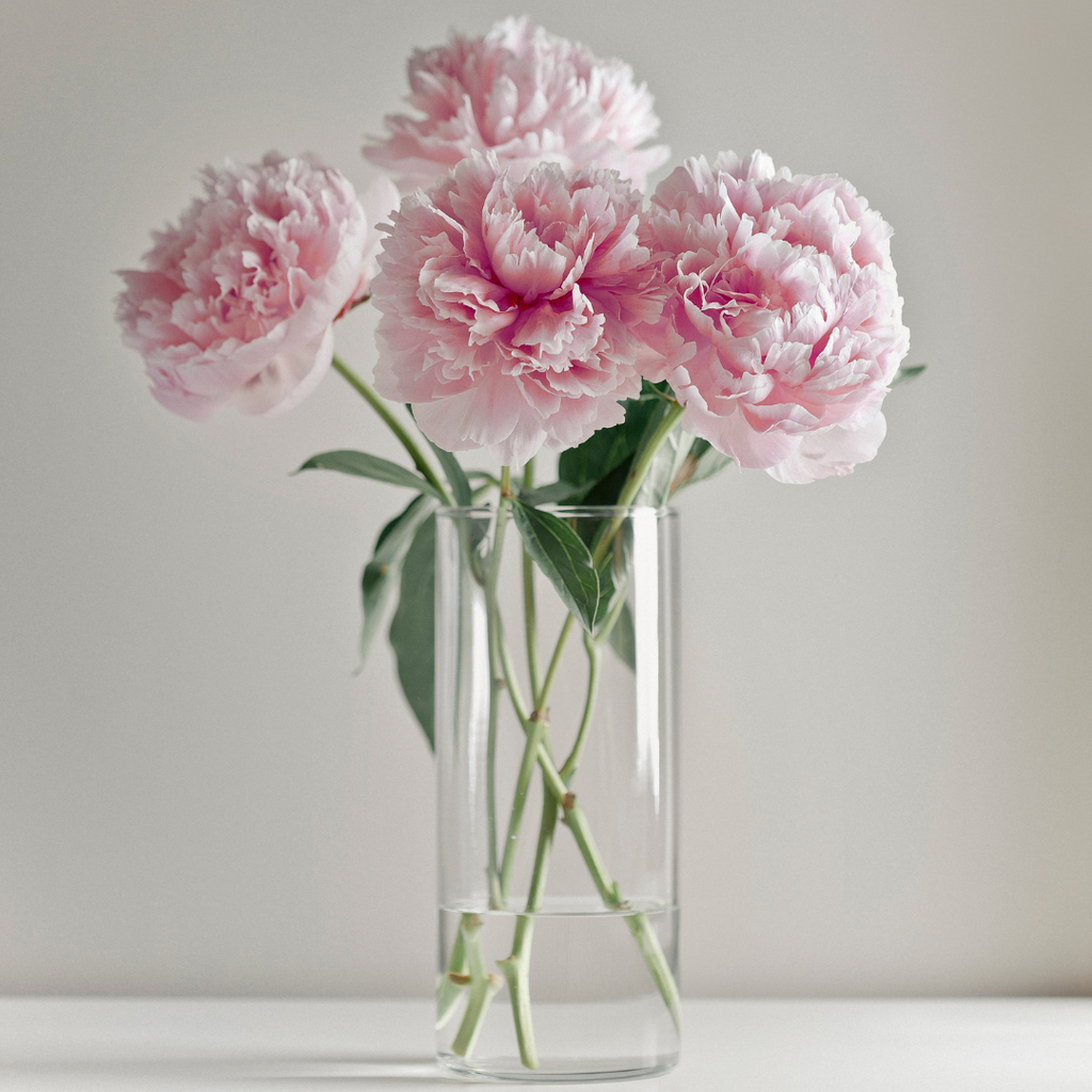 pink peonies in a vase