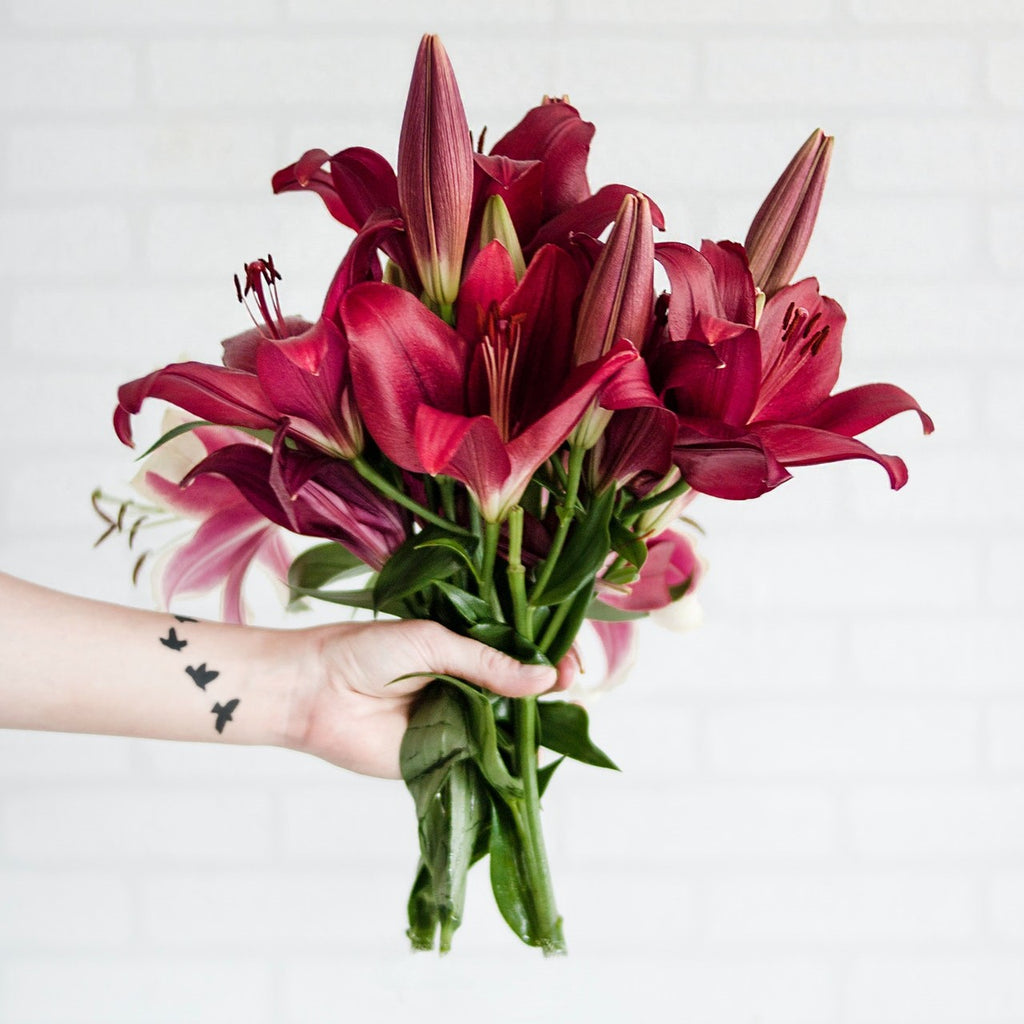 How to Style & Arrange Dried Flowers