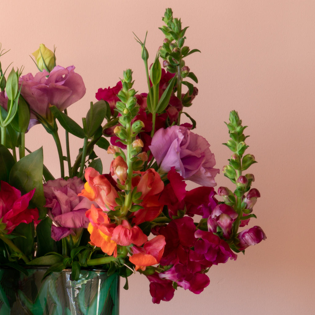 colourful snapdragons in a vase