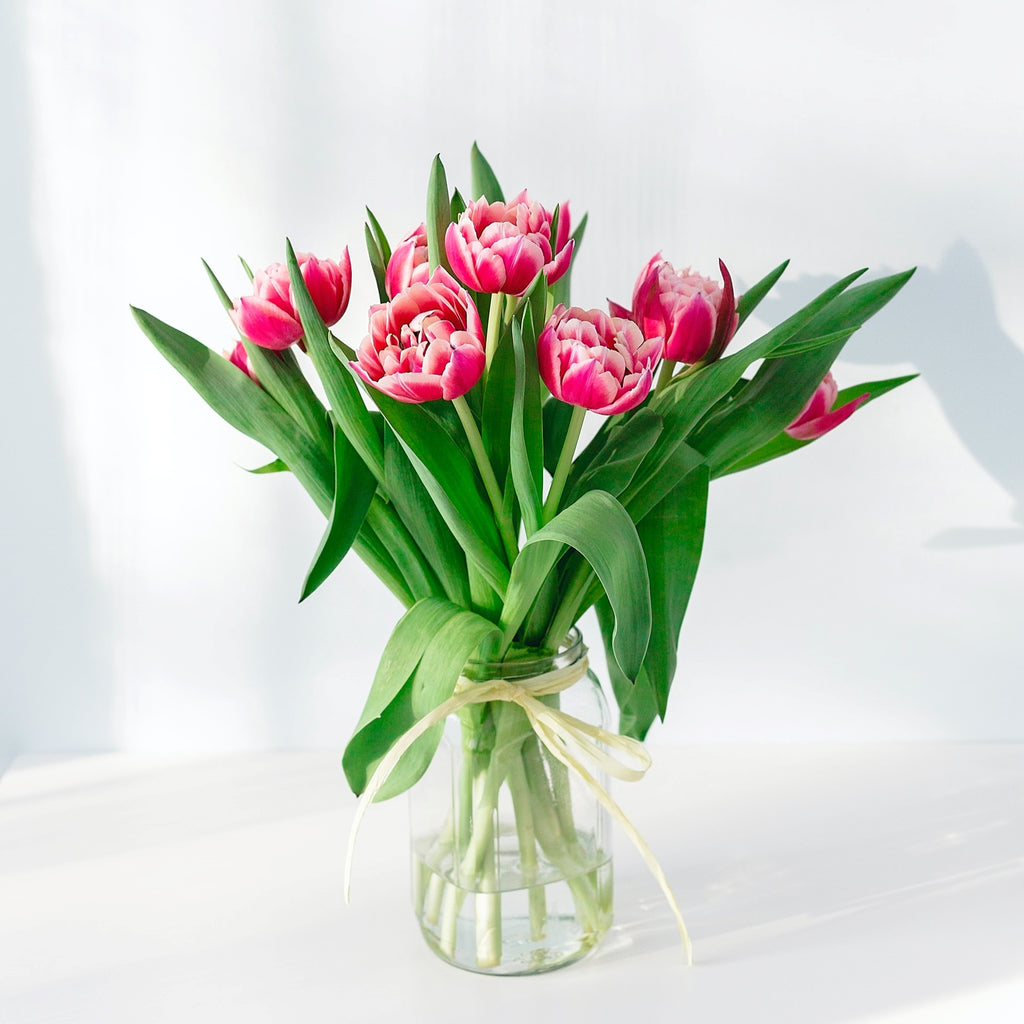 blooming dark pink tulips in a glass posy jar