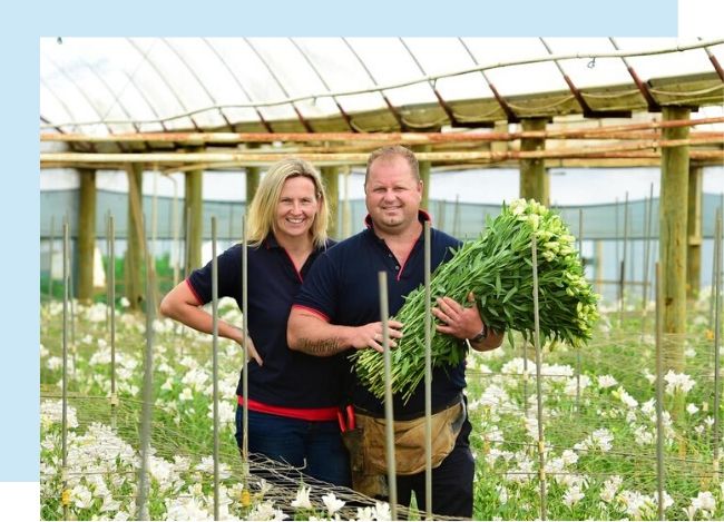 wandin valley flower farm