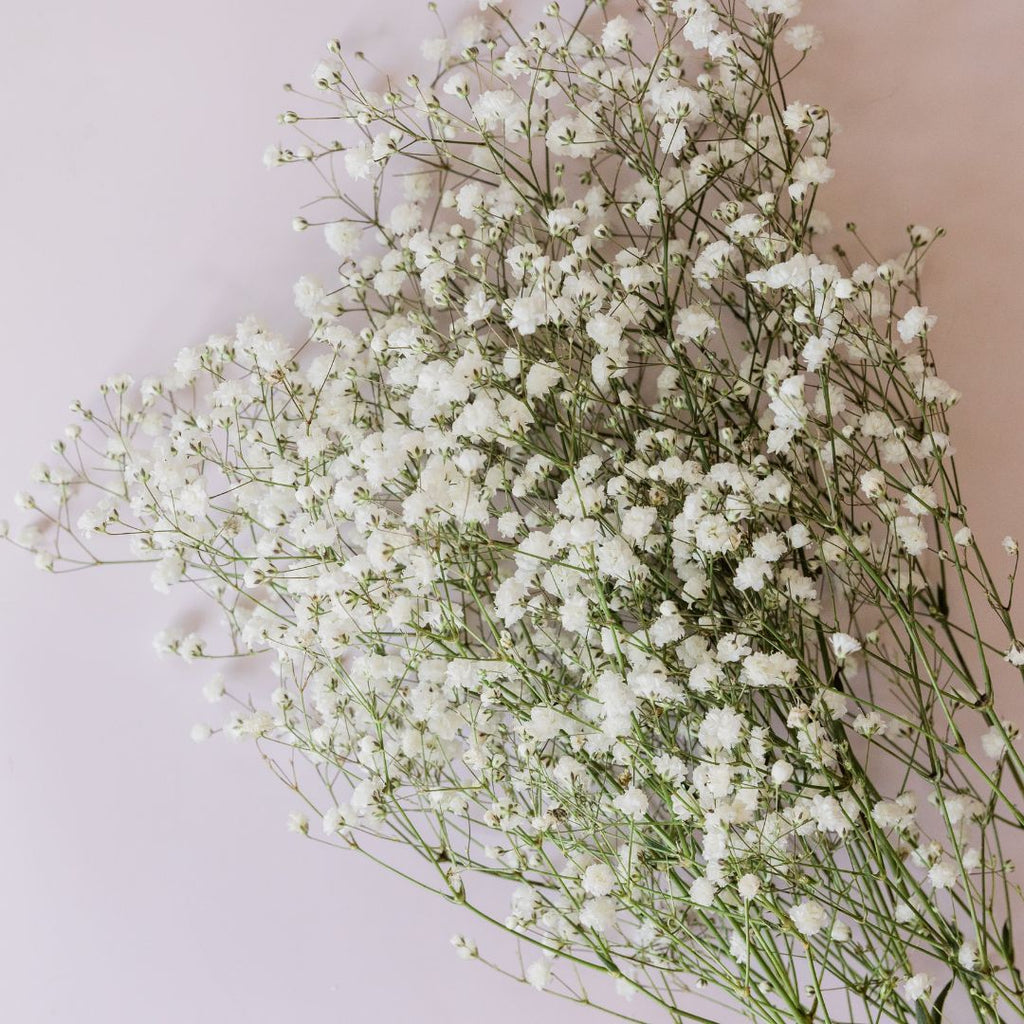 baby's breath christmas trees