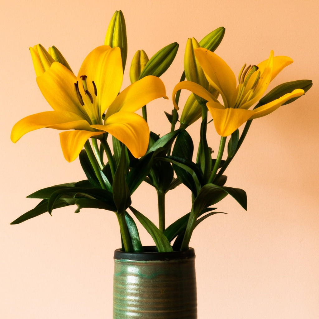 yellow lilies