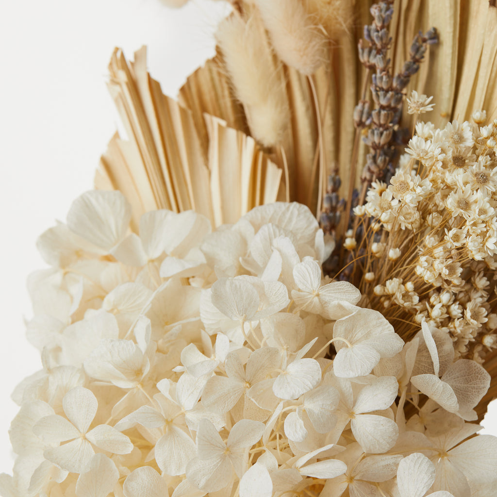 How to care for dried flowers – Floraly