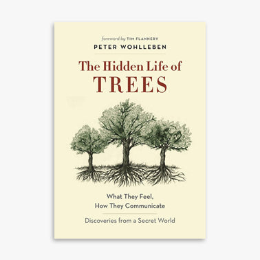 The Hidden Life of Trees by Peter Wohlleben 