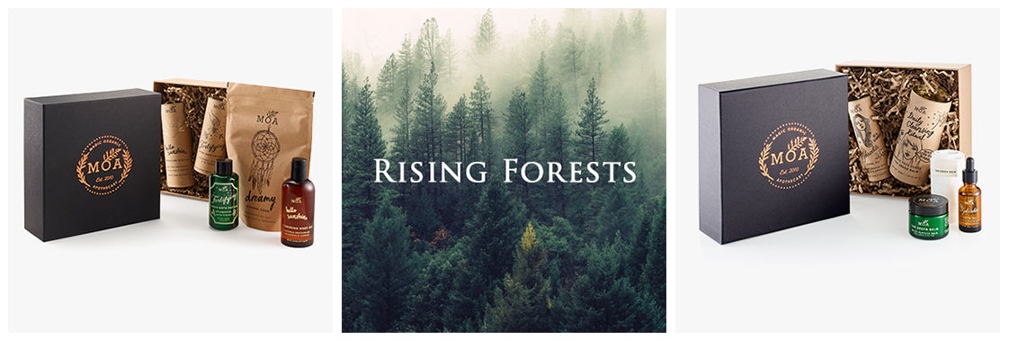 Rising Forest Offer