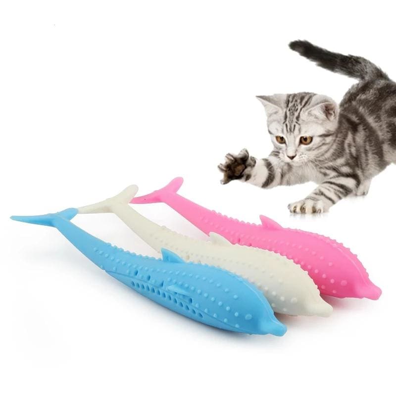 cat dental toy