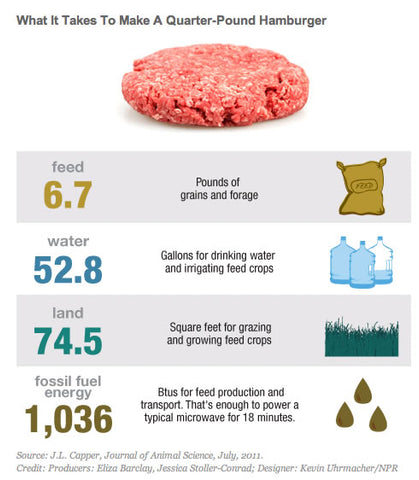 Meat Consumption Effect on The planet