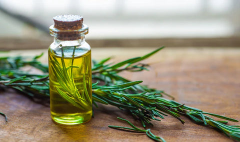 rosemary oil