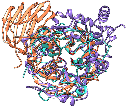 benefits of invertase