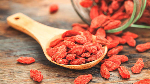 what are goji berries 