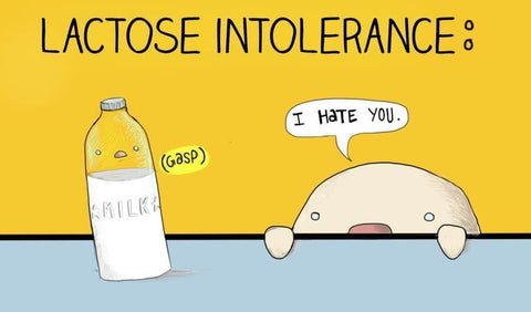 Can Lactase Reduce Lactose Intolerance?