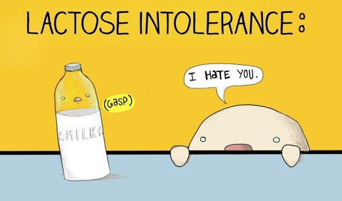 what causes lactose intolerance?
