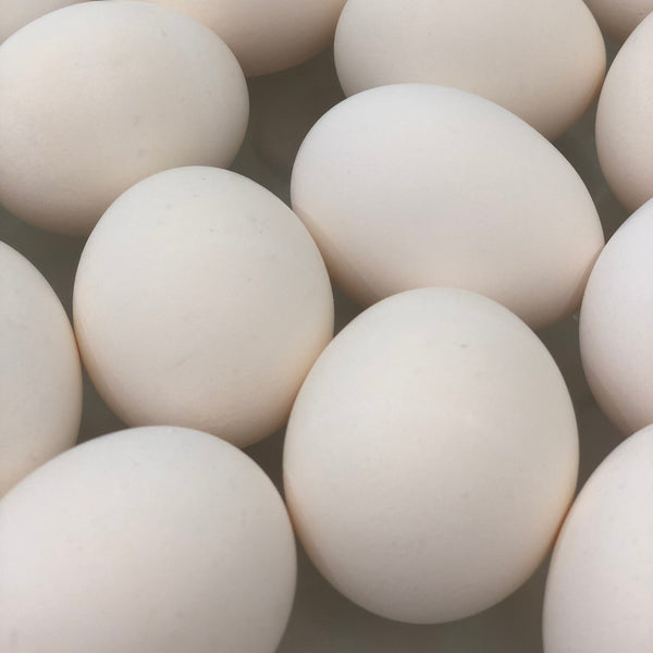 Eggs