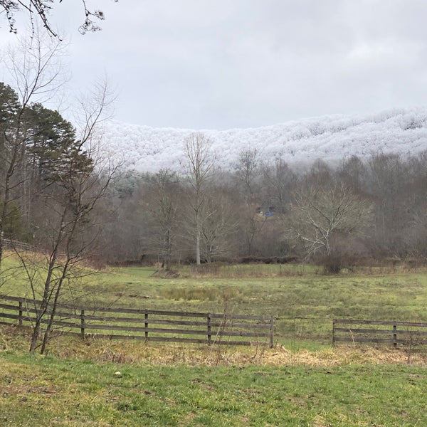 Farm fencing