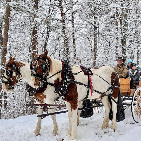 Daffodil Hill Carriage Rides