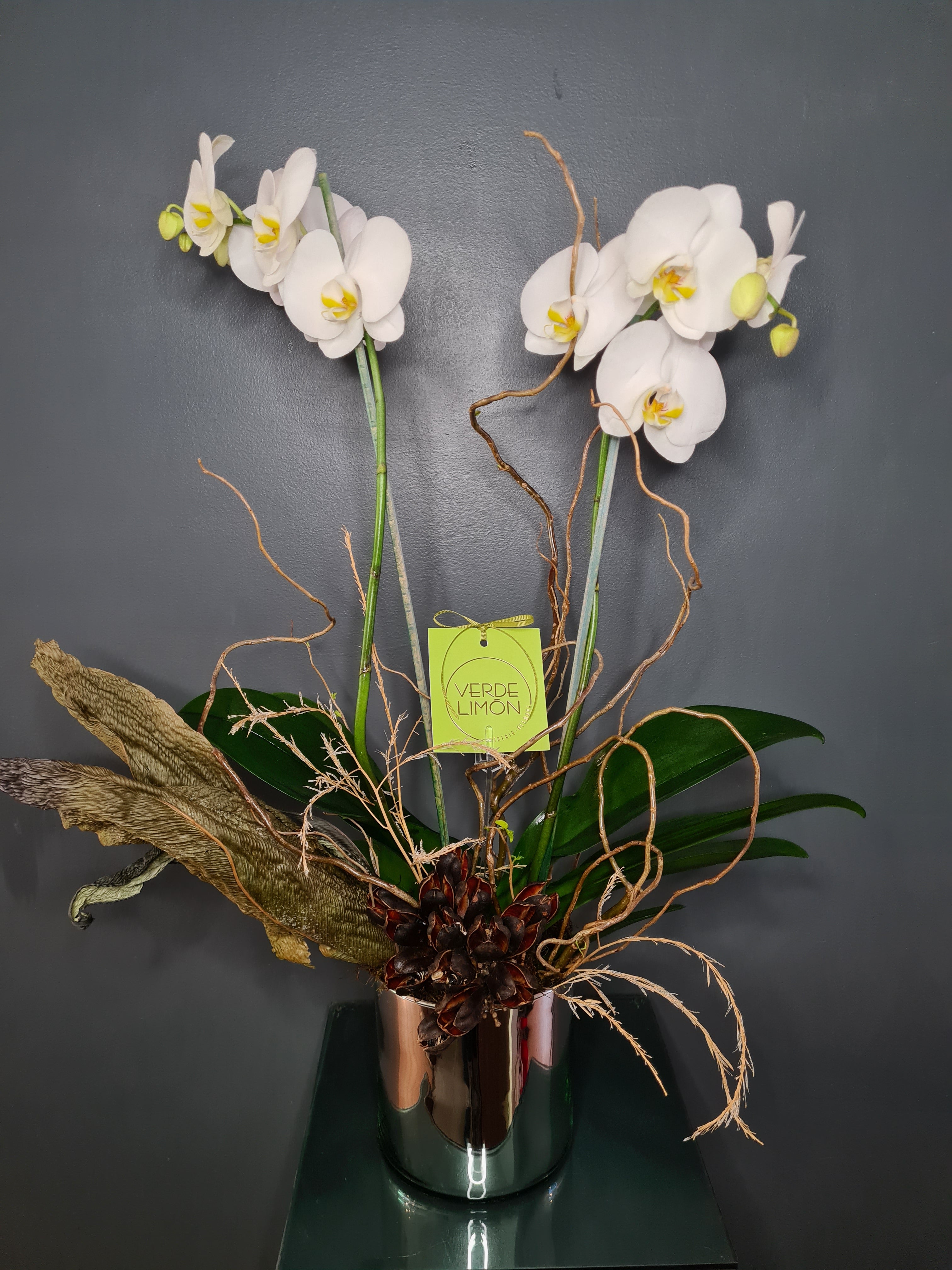 Orquídea viva doble decorada con follajes naturales – Florería Verde Limón