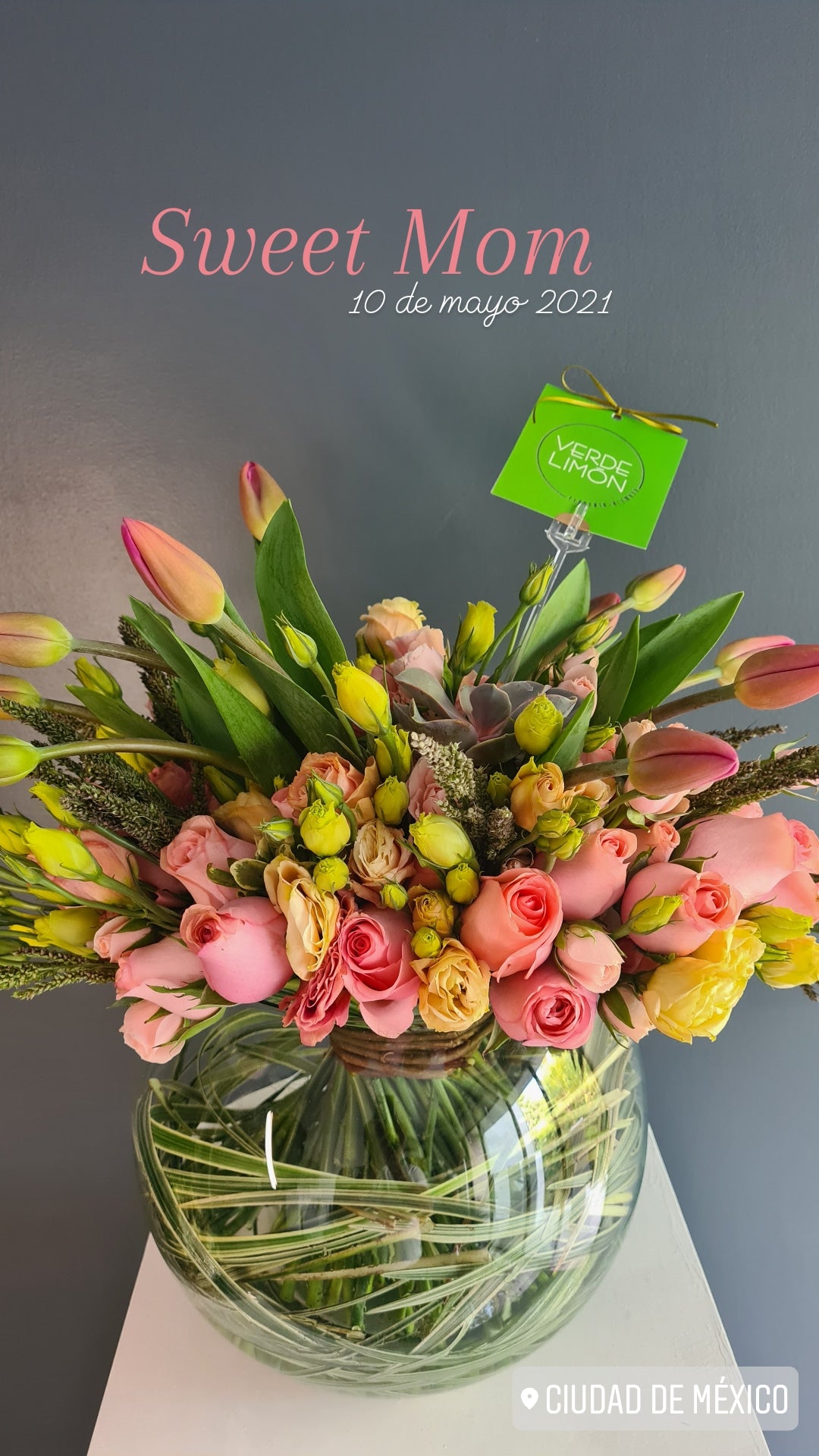 Bowl con tulipanes, suculenta y mix floral – Florería Verde Limón