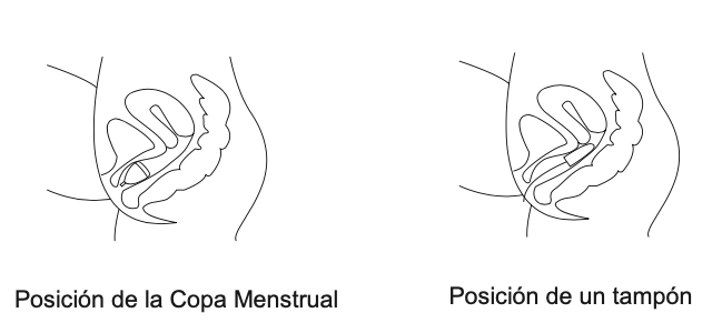 copa menstrual manual de uso posicion