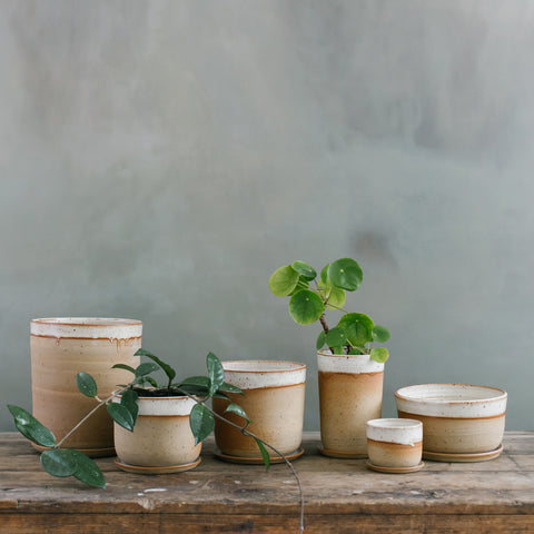 Leaf and Thread ceramic pots and planters