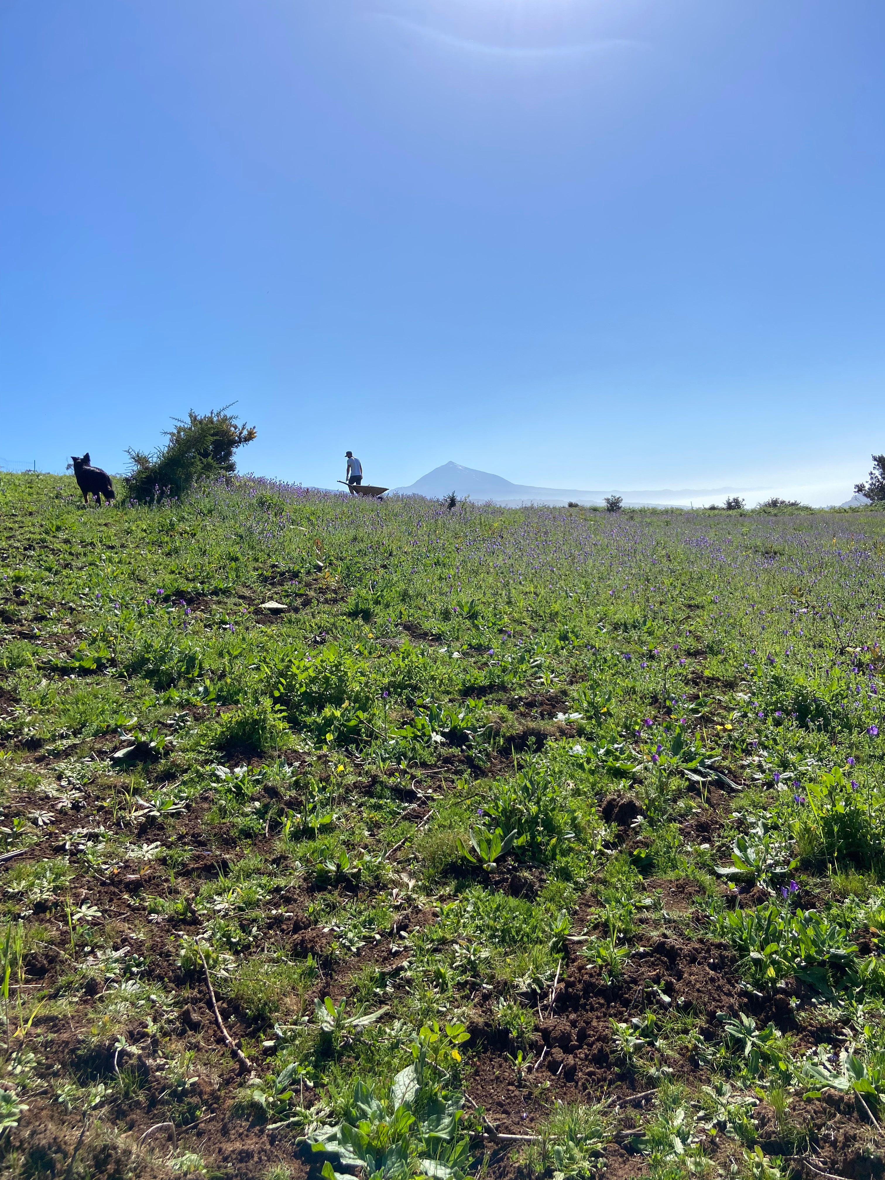 Agroferastación del Proyecto LILO y MIA