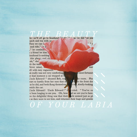 The beauty of your labia