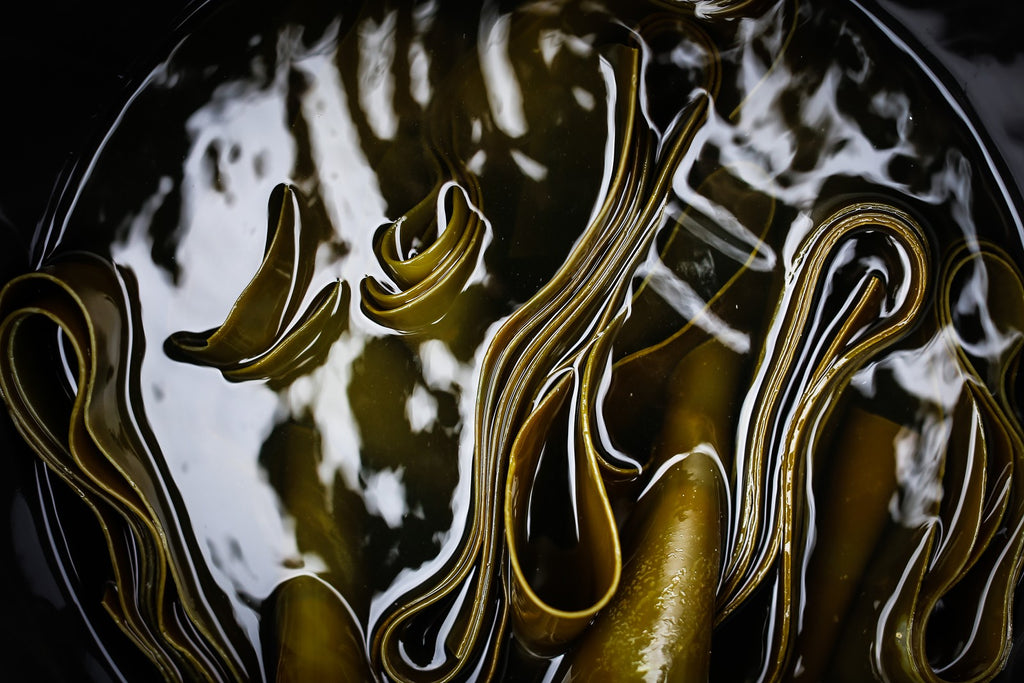 Voya Seaweed Benefits