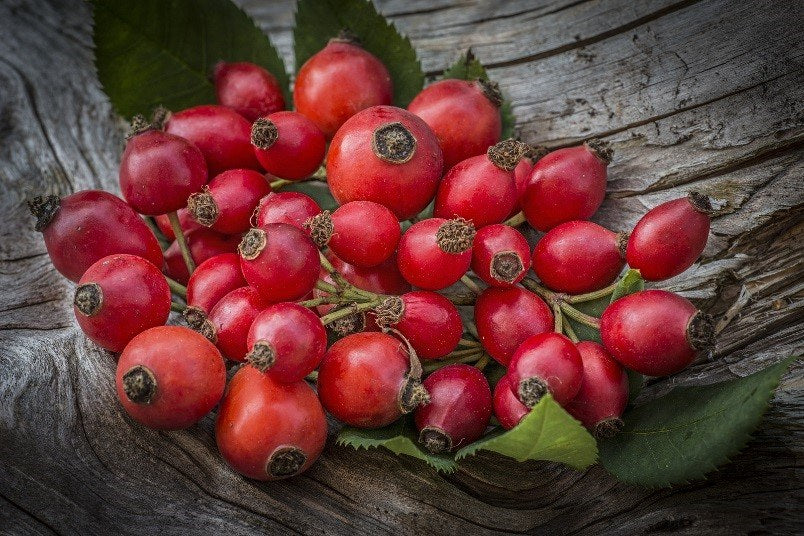 Rosehip Oil 