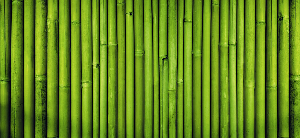 Bamboo in my exfoliator 